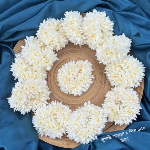 Fragrant Carrots (সুগন্ধী গাজরা )