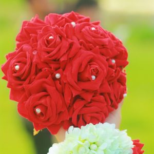 Hair Clip (চুলের খোঁপা )