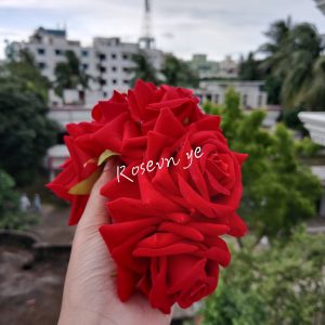 Rose clip carrots (গোলাপ ক্লিপ গাজরা )